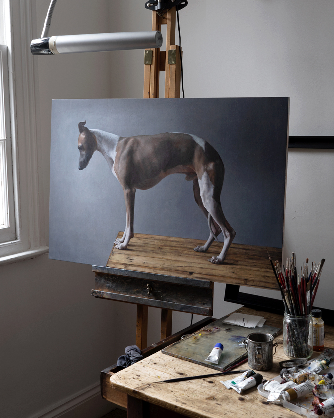 standing whippet on the easel