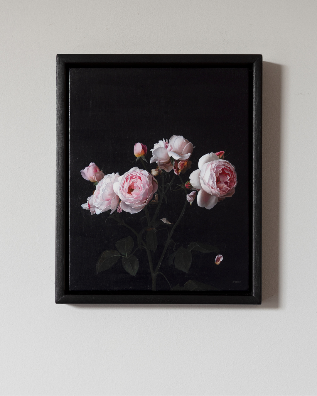 wall - pink roses