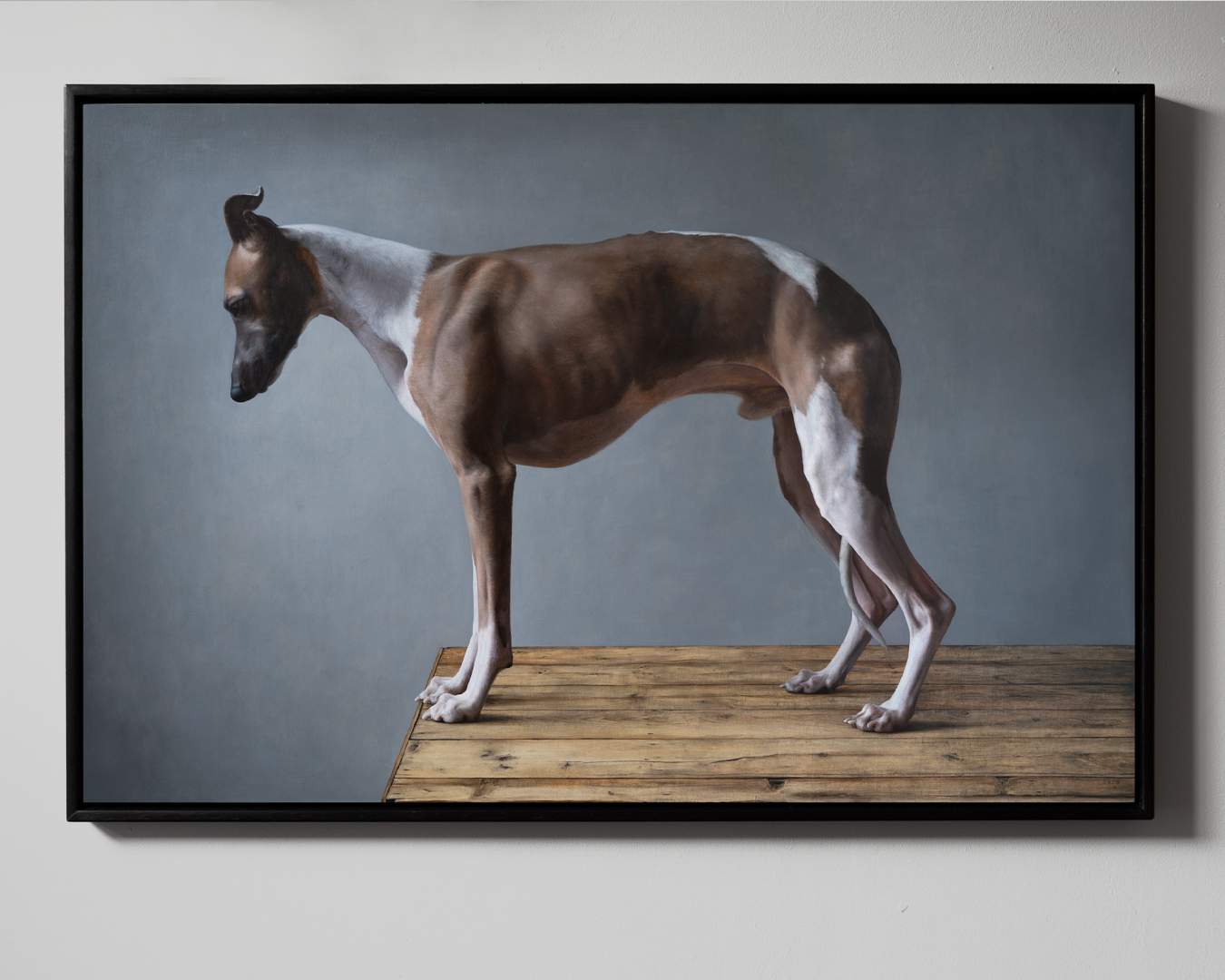 wall - standing whippet