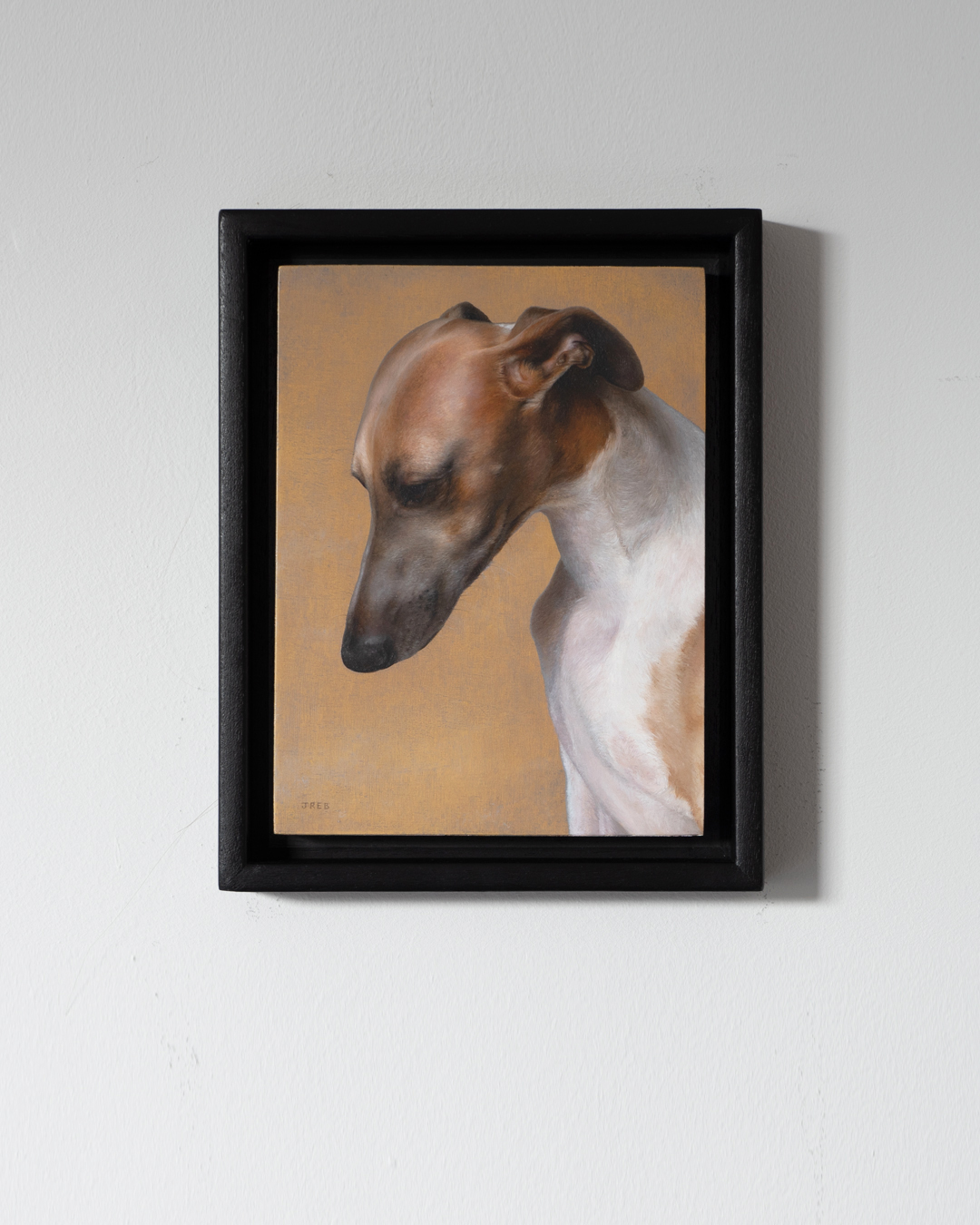 wall - whippet head yellow
