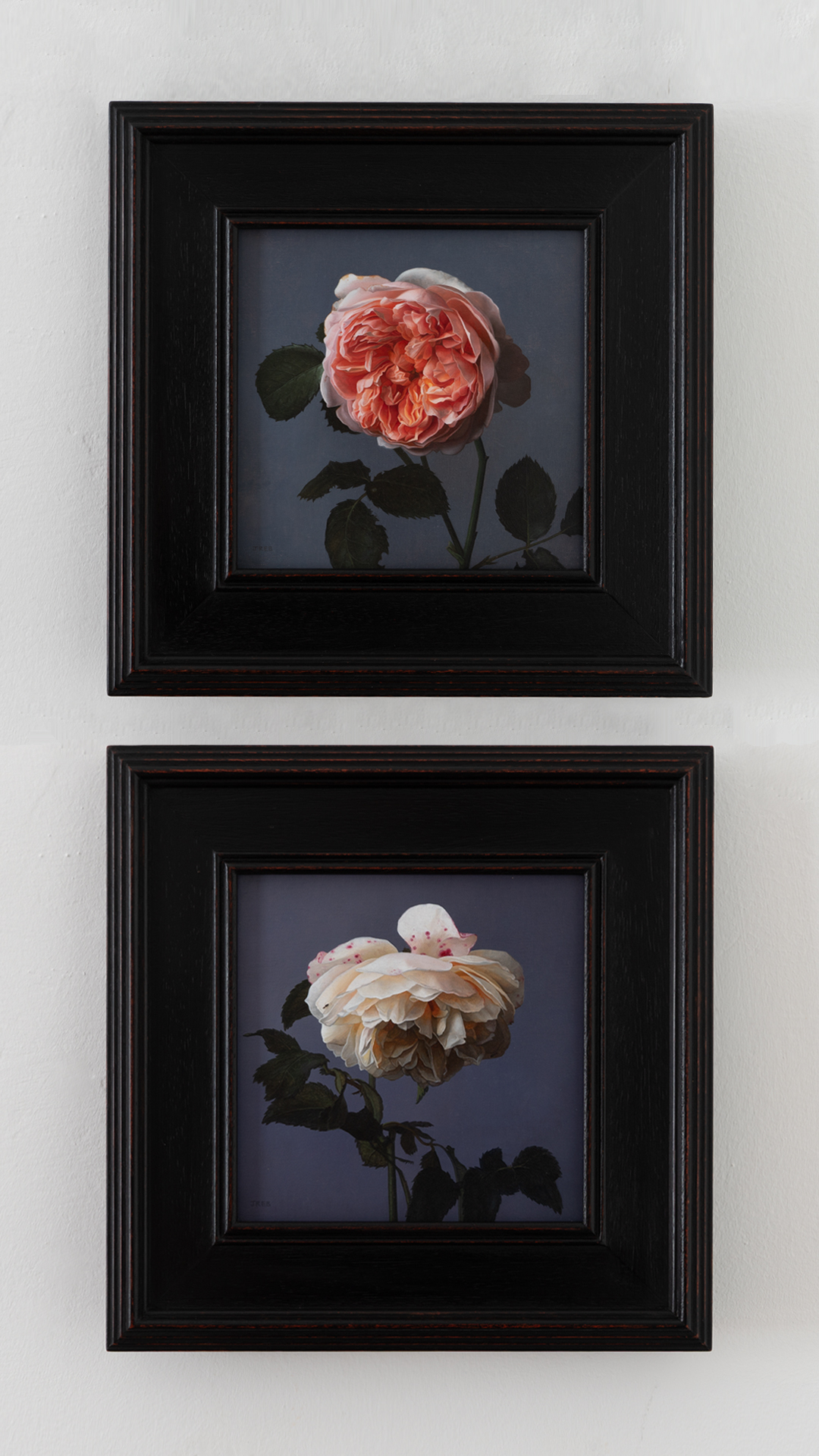 rose pair framed for website